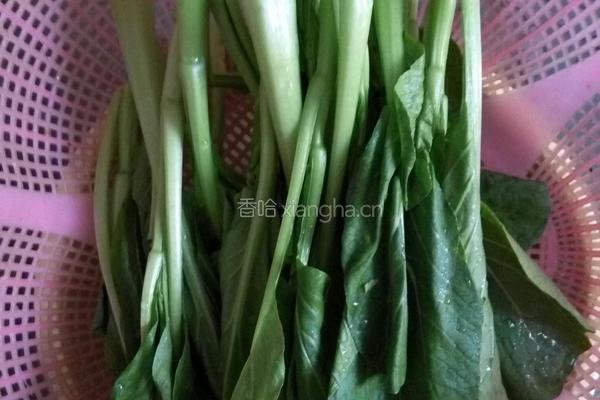 白灼芥兰的做法图解1