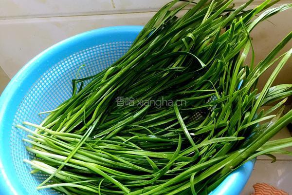 韭菜鸡蛋虾仁饺子馅的做法图解1
