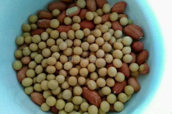 花生黄豆豆浆的做法图解1