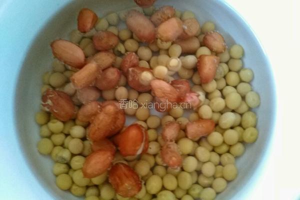 花生黄豆豆浆的做法图解2