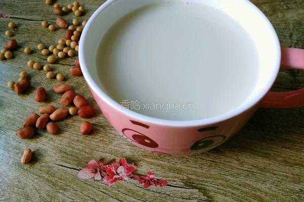 花生黄豆豆浆的做法图解6
