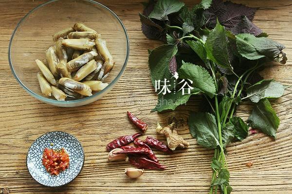 辣酱紫苏炒蛏子的做法图解1