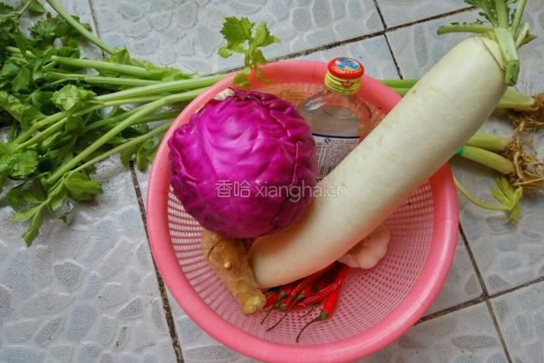 泡菜（酸辣开胃）的做法图解4