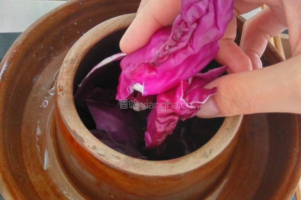 泡菜（酸辣开胃）的做法图解9
