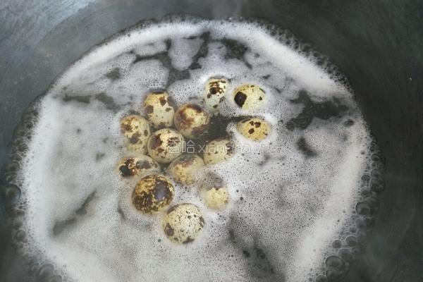 鹌鹑蛋炖兔肉的做法图解1