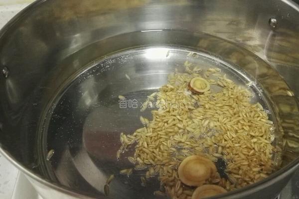 麦枣甘草肉丸汤的做法图解7
