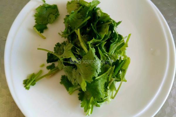 香菜粉皮的做法图解2