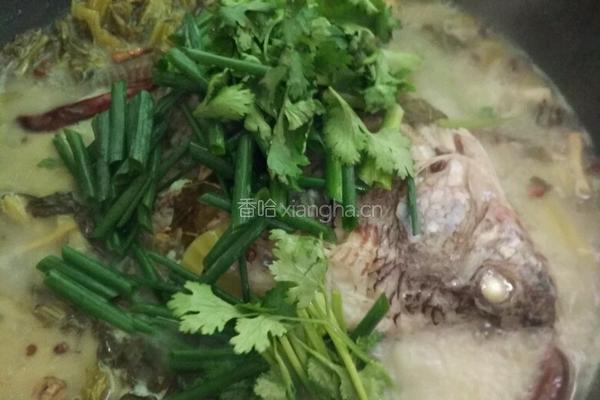 水煮罗非鱼的做法图解12