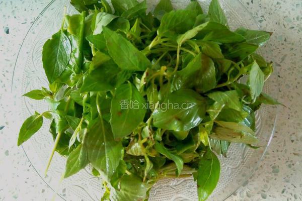 荆芥面托的做法图解2