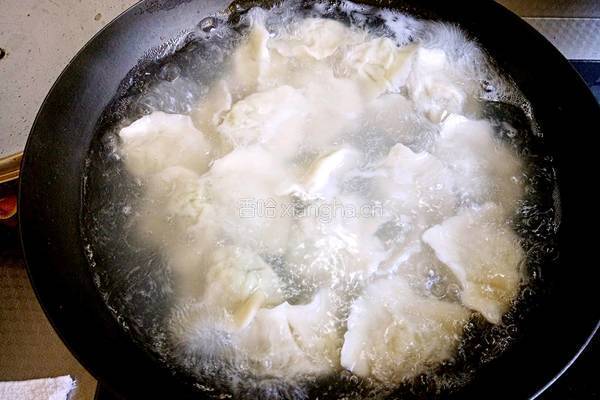 绿萝卜猪肉大馅水饺的做法图解26