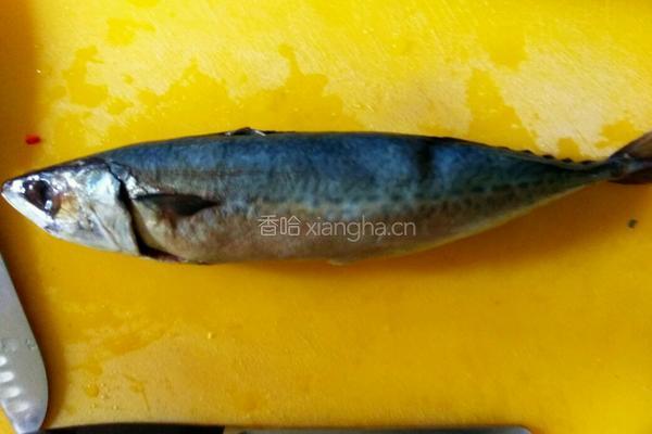 鲅鱼头炖豆腐的做法图解1
