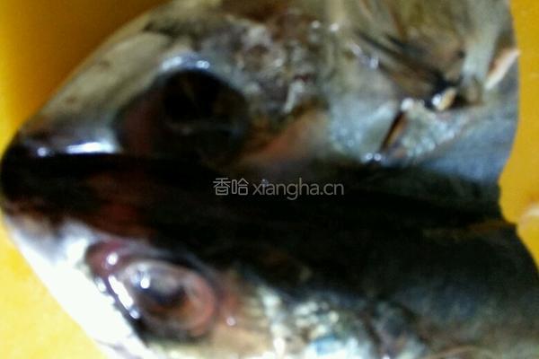 鲅鱼头炖豆腐的做法图解5