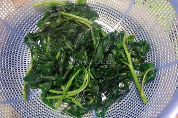 凉拌紫背菜的做法图解5