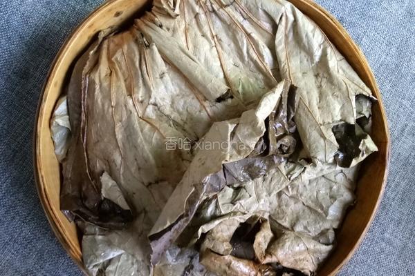 荷叶糯米蒸肉末的做法图解7