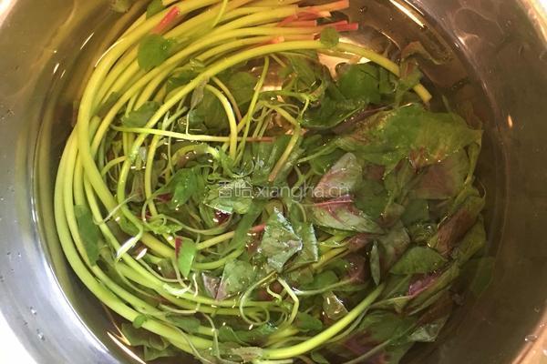 苋菜馅水饺的做法图解4