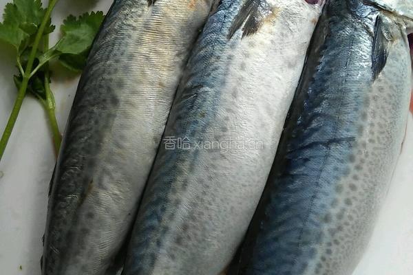 辣酱青鱼的做法图解1