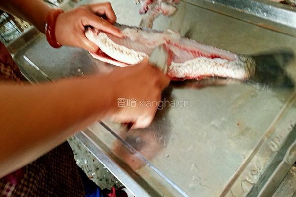 家常水煮鱼的做法图解1
