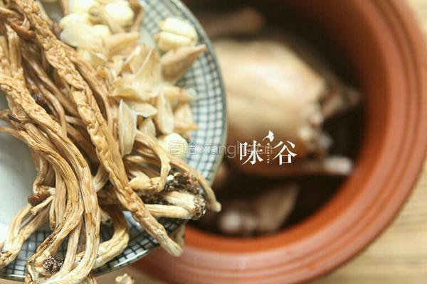 白莲茶树菇乳鸽汤的做法图解6