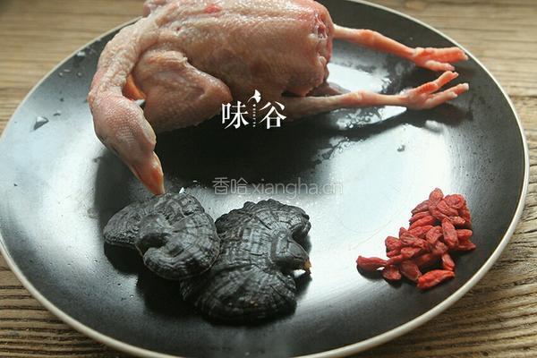 灵芝鸽子汤的做法图解1