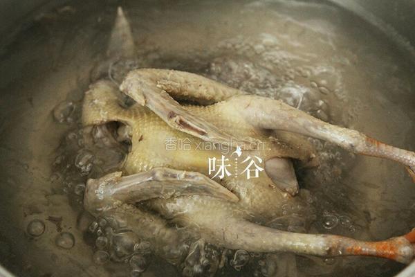 灵芝鸽子汤的做法图解2