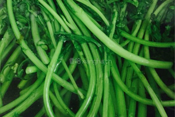 素炒茼蒿的做法图解2