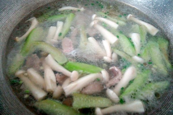 斗鸡菇丝瓜肉片汤的做法图解11