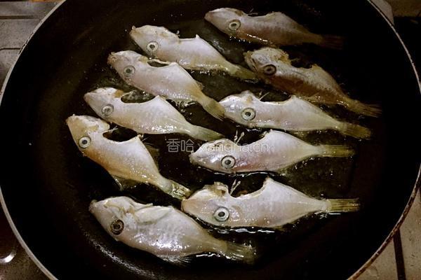 椒盐香煎马面鱼的做法图解3