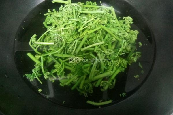 珍选捞汁蕨菜的做法图解2