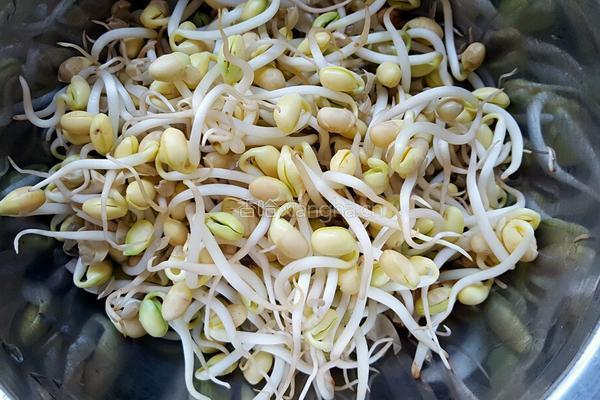 黄豆芽炒粉丝的做法图解1