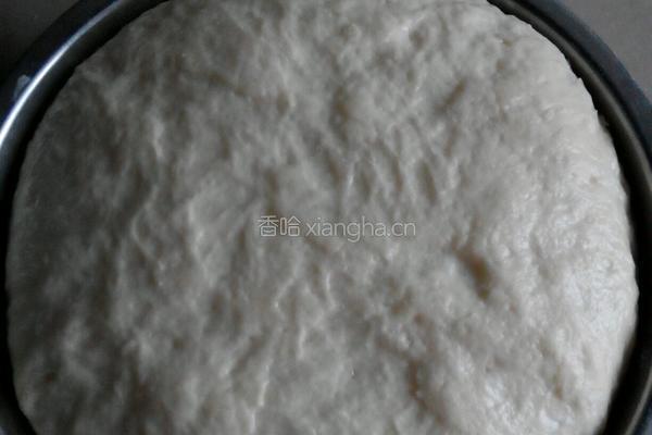 胡萝卜木耳包子的做法图解8