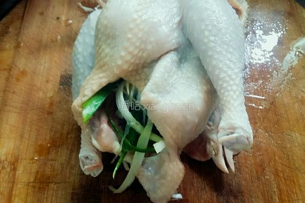 清蒸童子鸡的做法图解5