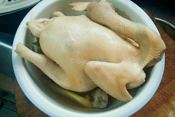 清蒸童子鸡的做法图解8