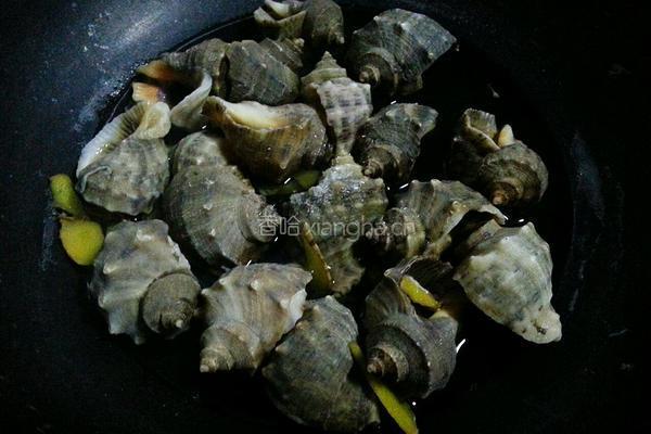 白煮海螺的做法图解5