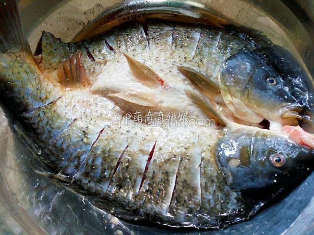 鲤鱼刮掉鱼鳞，从背部对半剖开腹部相连，清理鱼鳃鱼肠内部黑膜等，冲洗干净后擦干水分，在鱼的正反面都抹一点盐和鸡精。
盖保鲜膜入冰箱腌制1-2小时。