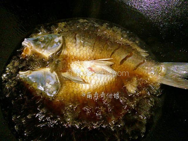 腌制好的鱼冲洗干净，擦干水分，锅中倒入稍多的油烧热，用筷子插入立即冒泡泡的状态，将鱼放入大火炸成两面金黄。
油温一定要够，不然慢慢炸出来的鱼肉会很软，而且易碎。
此步骤也可以用烤箱烤，表面刷一层料油，表面覆盖锡纸然后入烤箱200度烤20分钟。如果用烤的就可以提前进行。