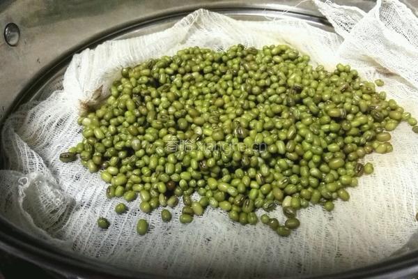 带皮绿豆饼的做法图解2