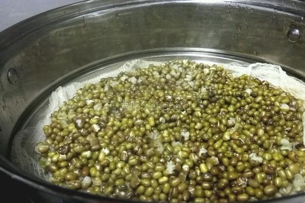 带皮绿豆饼的做法图解3