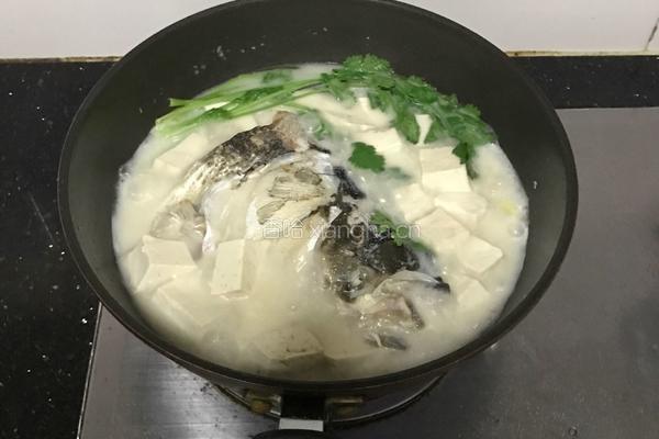 鲢鱼炖豆腐的做法图解6