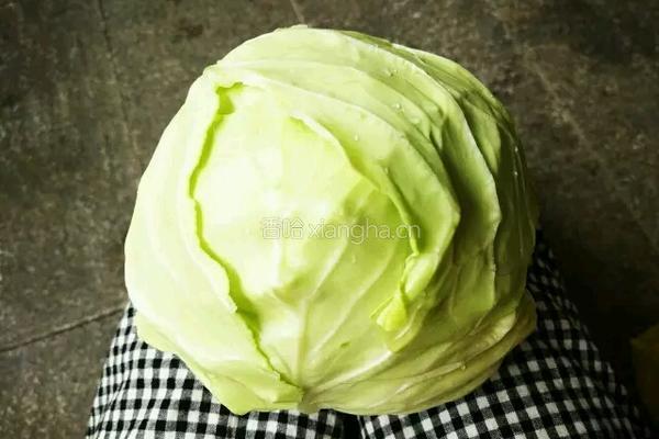 炝炒包菜的做法图解1