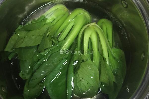 香菇油菜的做法图解3