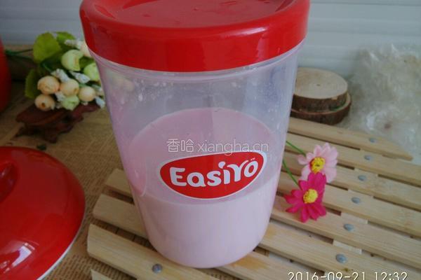 自制草莓酸奶（ EasiYo酸奶机）的做法图解7