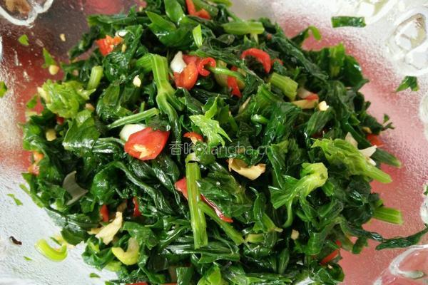 芹菜叶咸菜的做法图解7