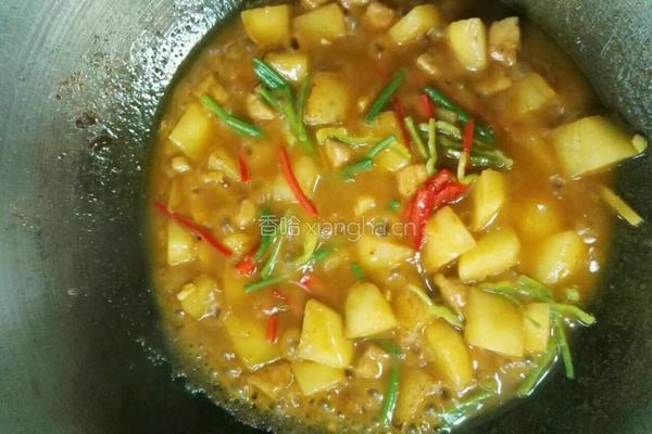 咖喱土豆肉丁的做法图解8