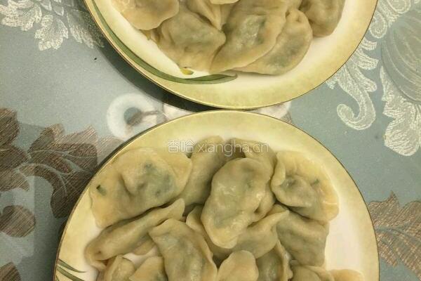 牛肉韭菜饺子的做法图解13