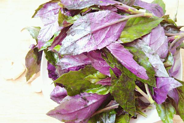 蒜蓉红皮菜一的做法图解1