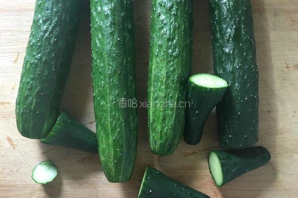 白粥必配黄瓜条咸菜的做法图解2