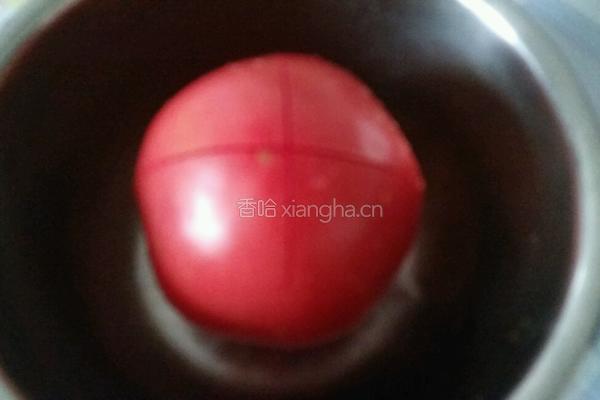 西红柿牛肉包子的做法图解4