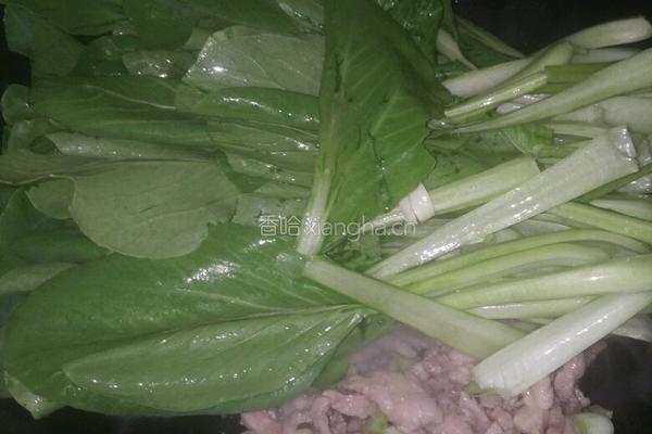 青菜肉丝面的做法图解6