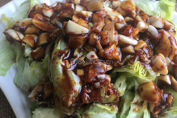 凉拌圆生菜的做法图解15