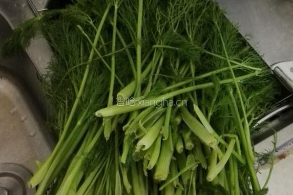 茴香苗包子的做法图解1